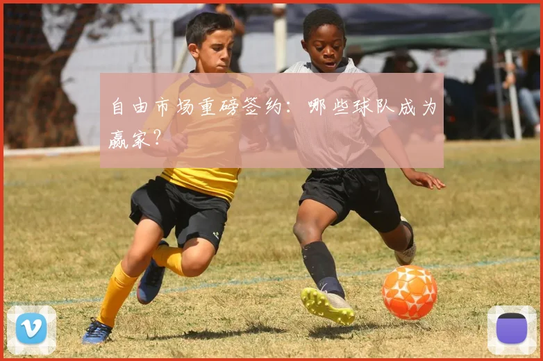 自由市场重磅签约：哪些球队成为赢家？