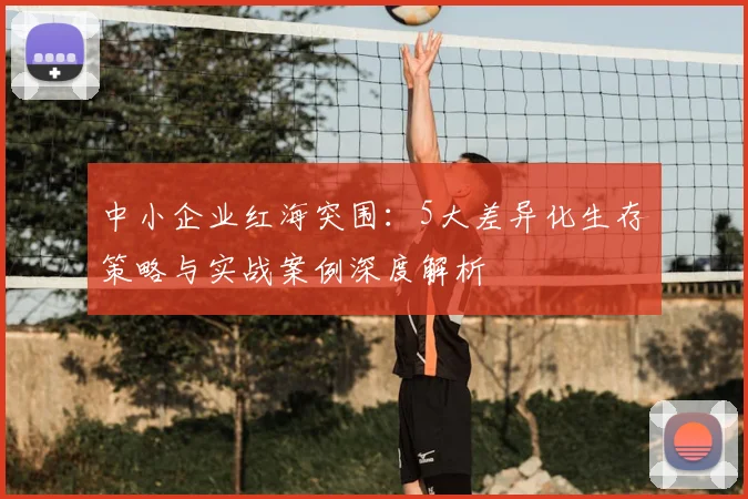 中小企业红海突围：5大差异化生存策略与实战案例深度解析